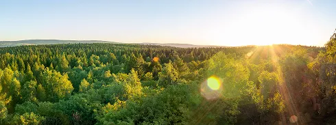 GXイノベーション展